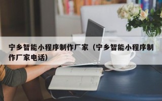 广西宁乡智能小程序制作厂家（宁乡智能小程序制作厂家电话）