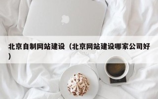 广西北京自制网站建设（北京网站建设哪家公司好）