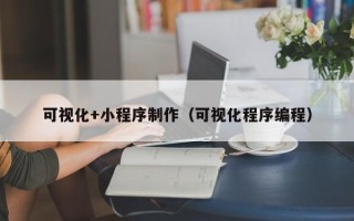 广西可视化+小程序制作（可视化程序编程）